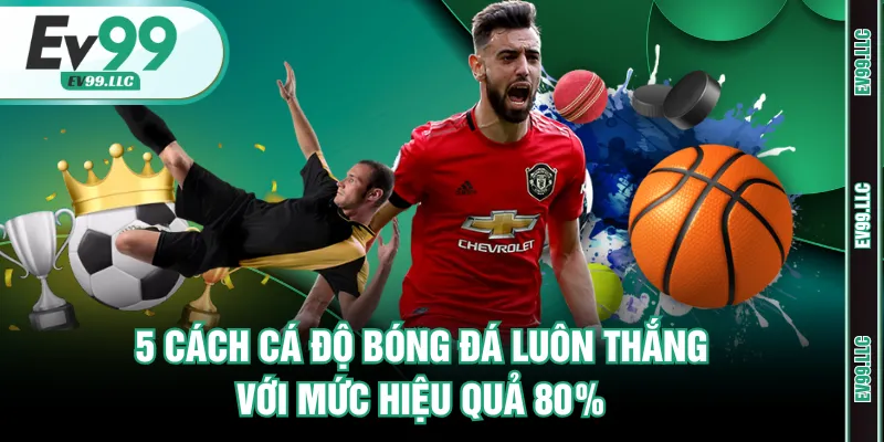 5 Cách Cá Độ Bóng Đá Luôn Thắng Với Mức Hiệu Quả 80% 2 Cách cá độ bóng đá luôn thắng